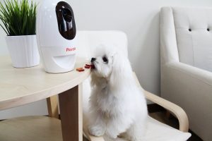 Pawbo Wi-Fi Pet Camera, 720p Interactive Wireless
